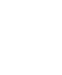 rizzmat logo small